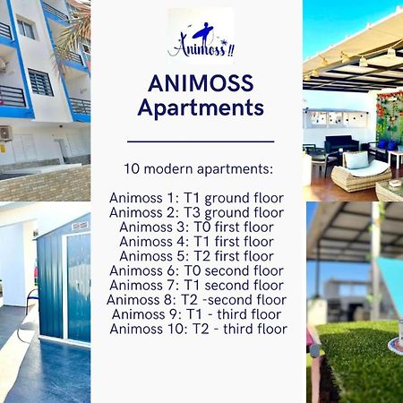 Animos! Apartments - 10 Modern Apartments Near The City & Beach, Perfect For Nomads, Travellers, Families, Watersports! Santa Maria Esterno foto