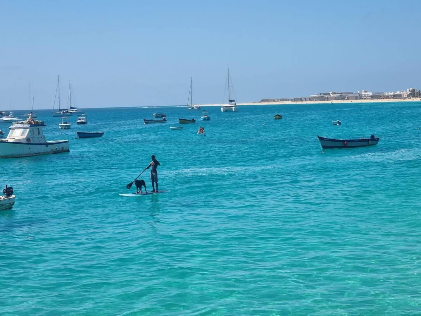 Animos! Apartments - 10 Modern Apartments Near The City & Beach, Perfect For Nomads, Travellers, Families, Watersports! Santa Maria Esterno foto